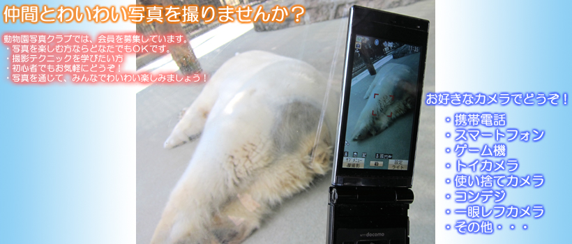 とべ動物園写真クラブの会員募集ページ