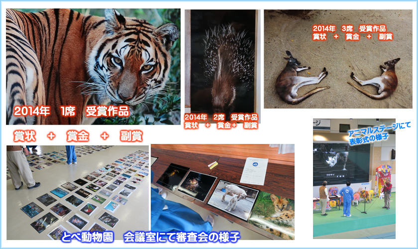 第３回・写真コンクール 2014年ver.　愛媛県立とべ動物園