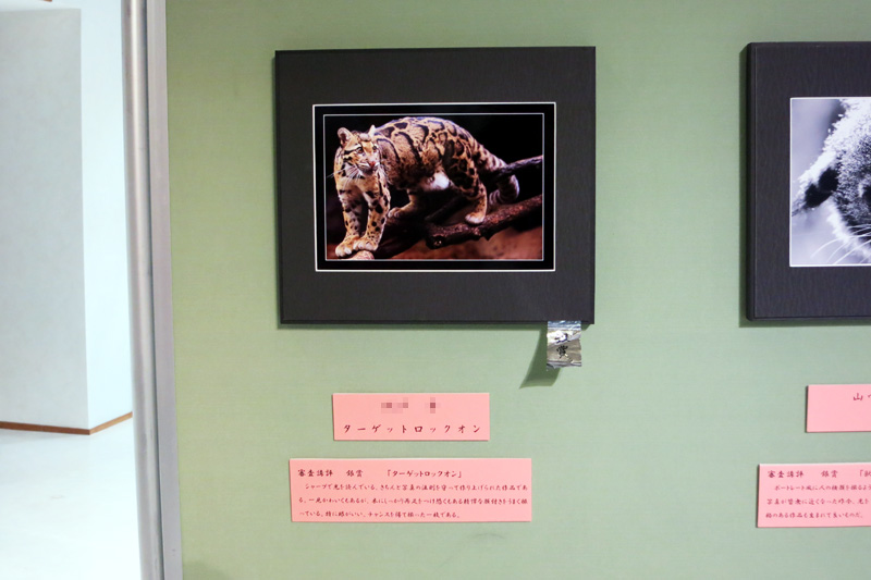 のいち動物公園「第22回 写真コンテスト」で銀賞