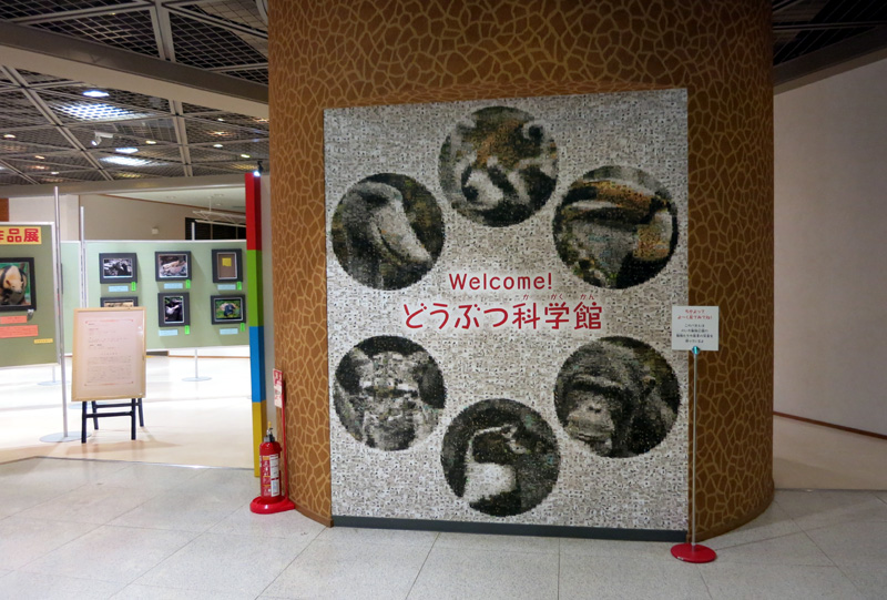 のいち動物公園「第22回 写真コンテスト」で審査員特別賞