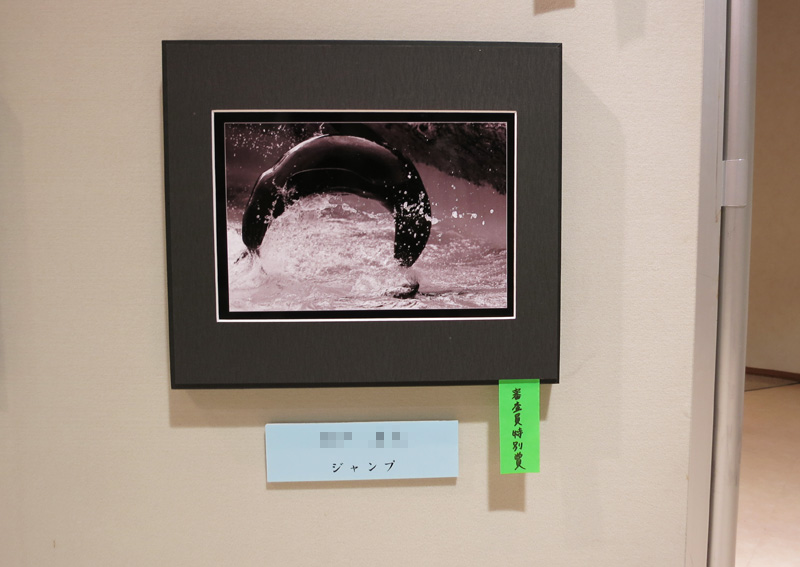 のいち動物公園「第22回 写真コンテスト」で審査員特別賞