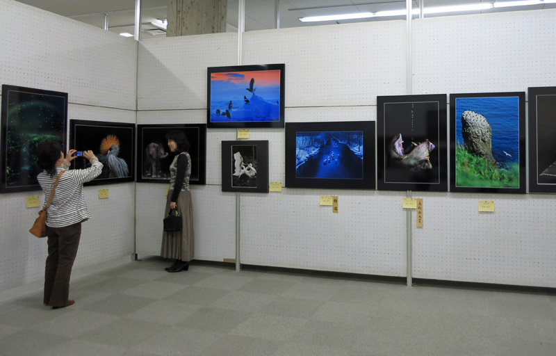 ぼーちゃんさんさんが、第62回秋季県展にて入選しました。