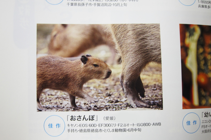写真クラブ会員のなかやんさんが佳作を受賞