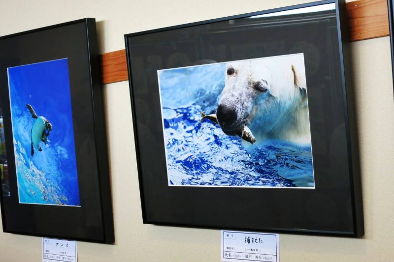愛媛県松前町にあります「薬草湯温泉 元気人村」さんにて写真展