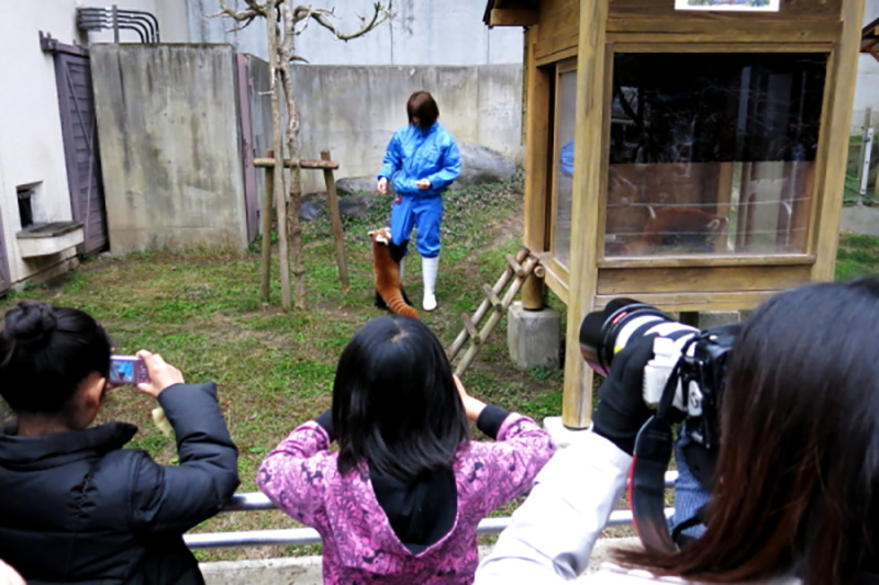 愛媛県立とべ動物園 写真教室 開催