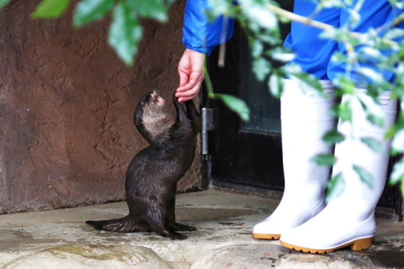 愛媛県立とべ動物園 写真教室 開催