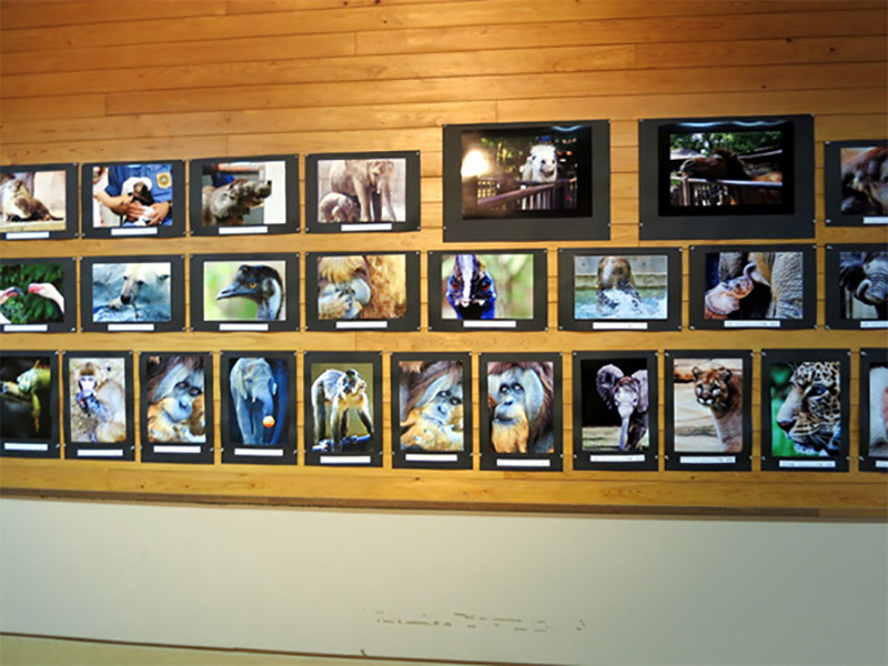 愛媛県立とべ動物園 写真教室 開催