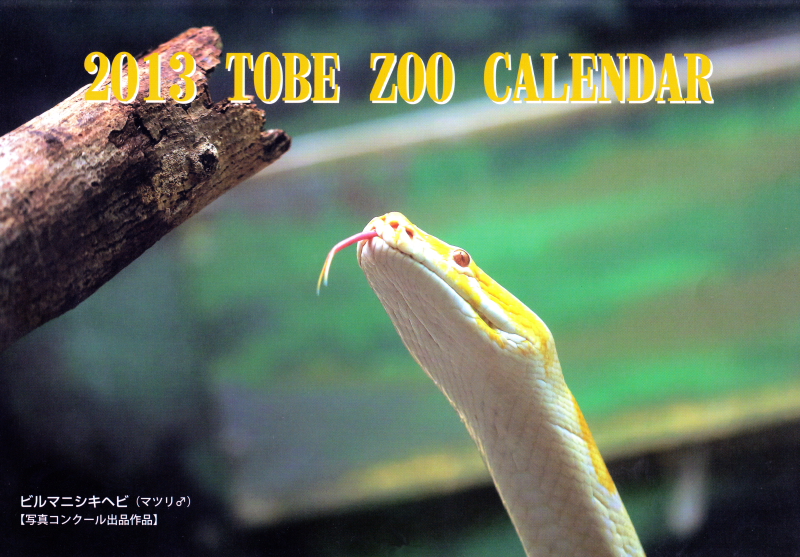 ばんぐぇさん撮影の写真が2013年とべ動物園オリジナルカレンダーの表紙に選ばれました。