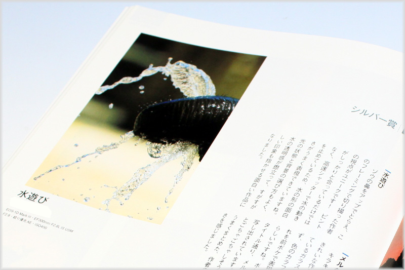 副会長が、キヤノンフォトサークル「モーメンツ」2013年2月号シルバー賞を受賞です。