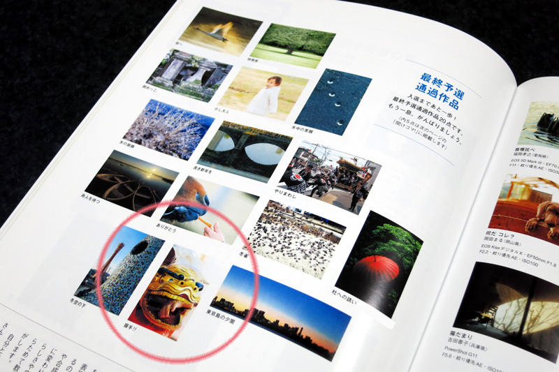 ばんぐぇさんさんが、キヤノンフォトサークル「モーメンツ」2013年4月号で最終予選通過です。
