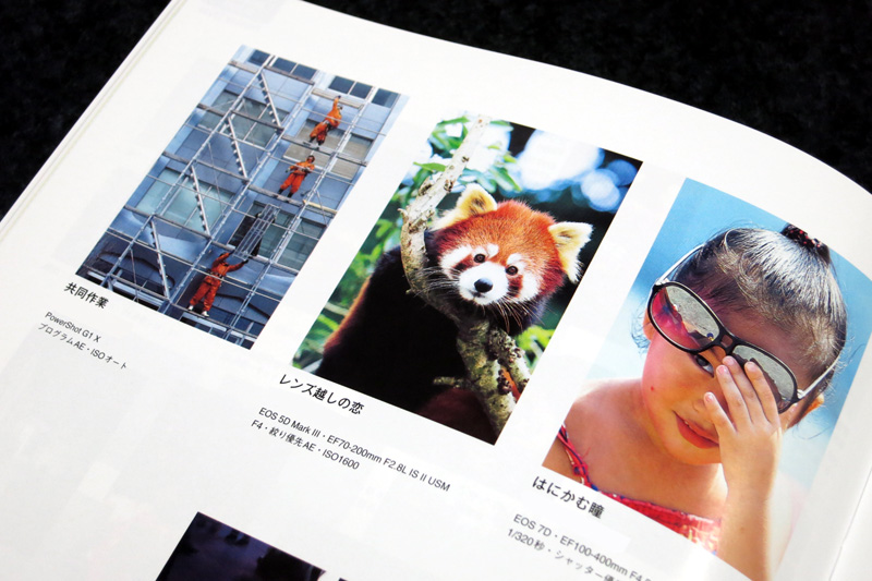 ぼ〜ちゃんさんが、キヤノンフォトサークル「モーメンツ」2013年2月号でブロンズ賞を受賞です。