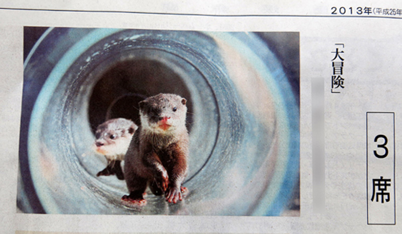 ぼ〜ちゃんさんが、2013年3月15日(金)の愛媛新聞「読者の写真」のコーナーにて3席受賞です。