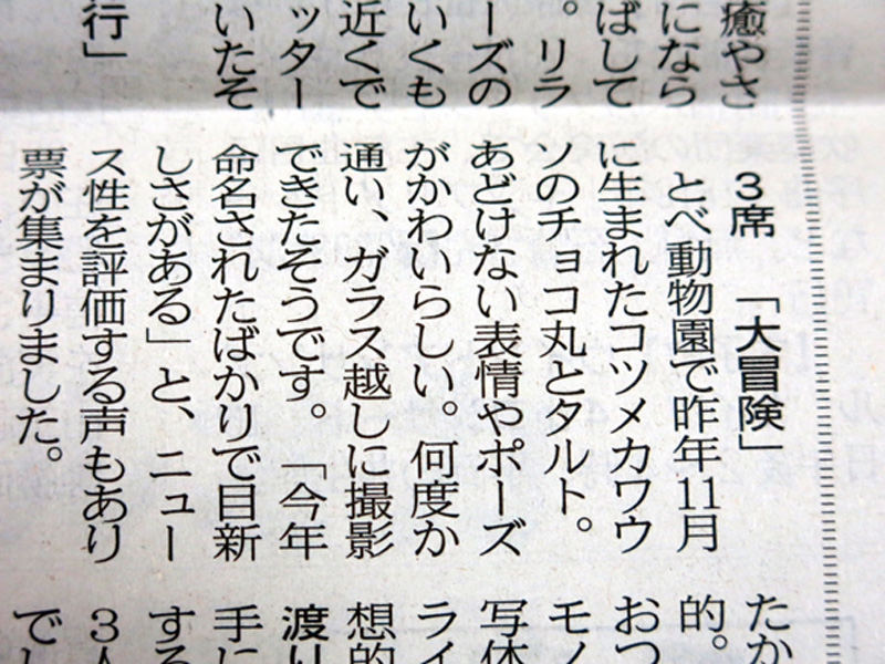ぼ〜ちゃんさんが、2013年3月15日(金)の愛媛新聞「読者の写真」のコーナーにて3席受賞です。