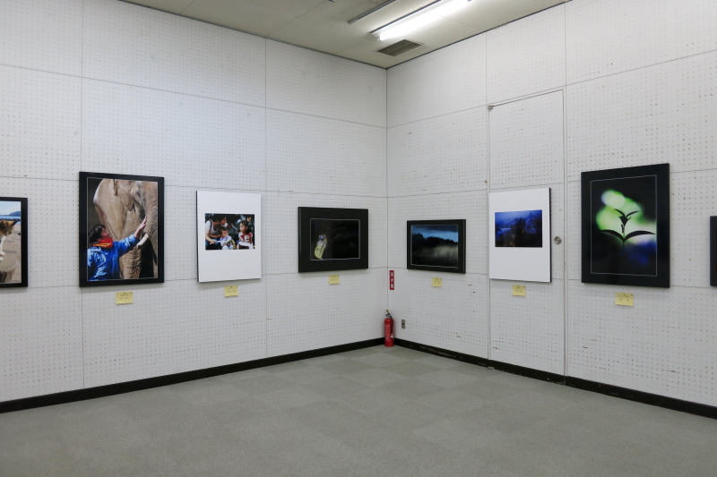 第61回春季県展の写真展示場内