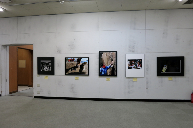 第61回春季県展の写真展示場内
