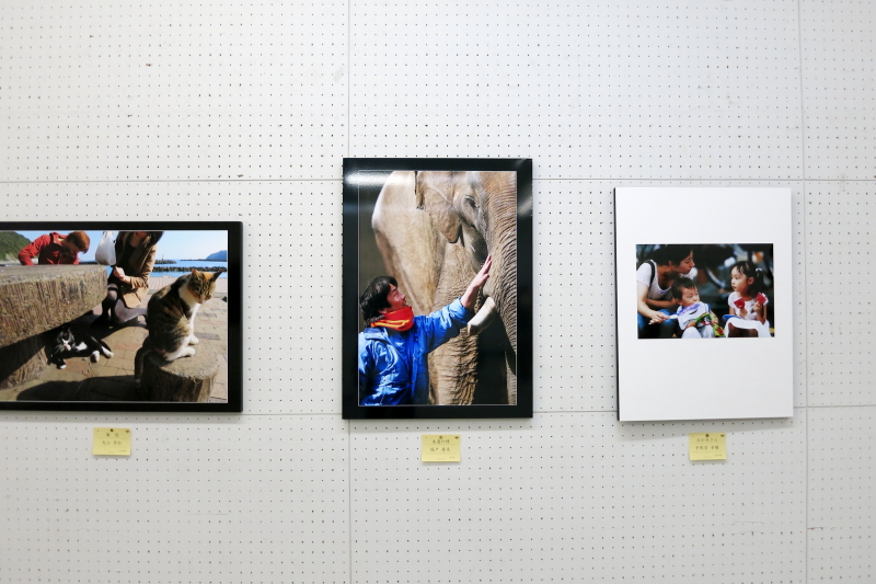 第61回春季県展の写真展示場内