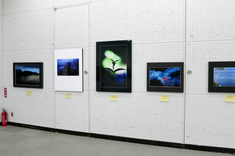 第61回春季県展の写真展示場内