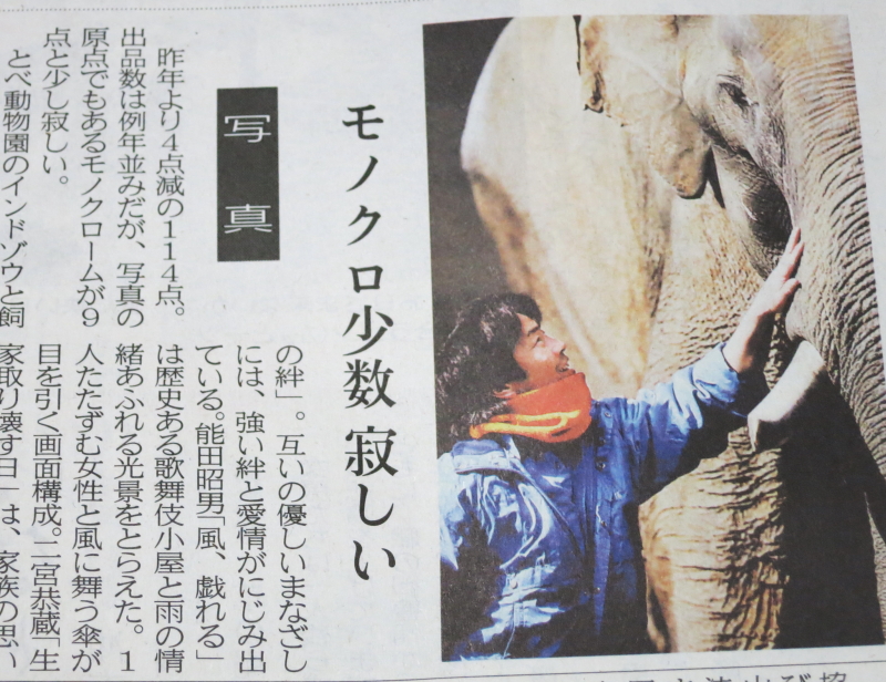 2013年5月2日(木曜日)の愛媛新聞「春の県展・作品紹介」特集