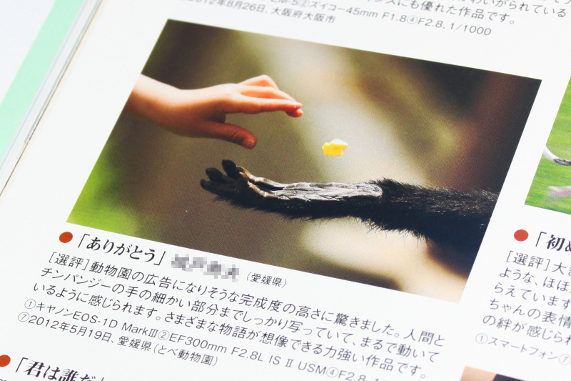 審査員の先生の選評