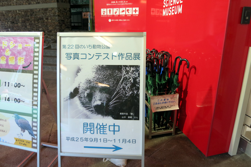 のいち動物公園「第22回 写真コンテスト」で銀賞