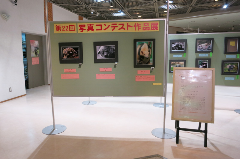 のいち動物公園「第22回 写真コンテスト」で銀賞