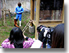 愛媛県立とべ動物園 写真教室を開催しました。