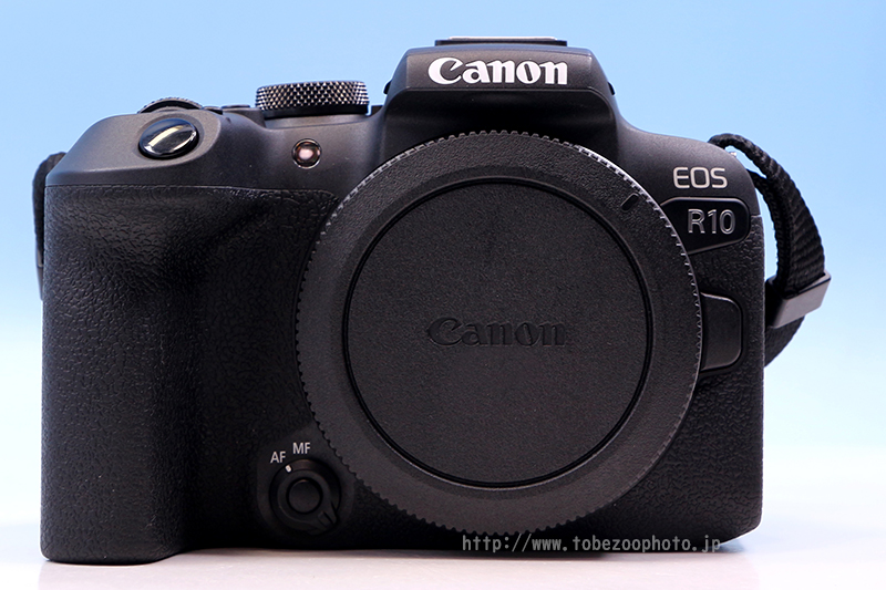 Canon EOS R10 ̃Jr[ƁAƂדŎۂɎBeʐ^tʃr[Љ