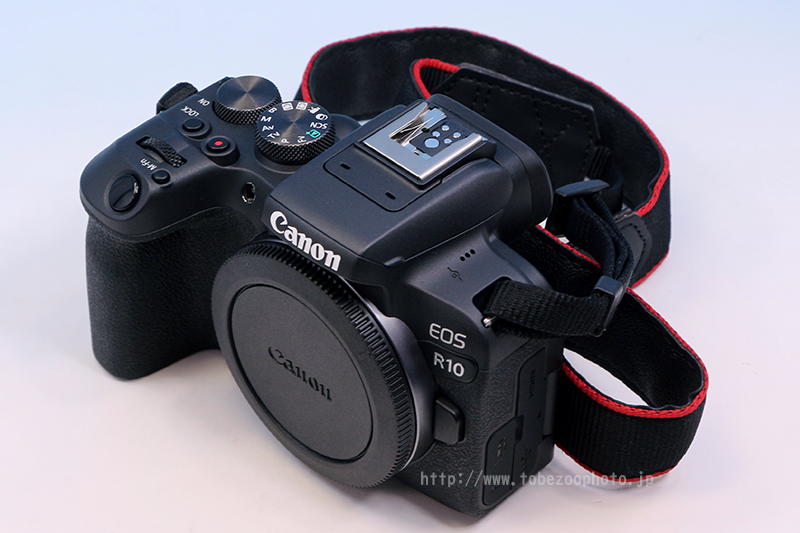 Canon EOS R10 ̃Jr[ƁAƂדŎۂɎBeʐ^tʃr[Љ