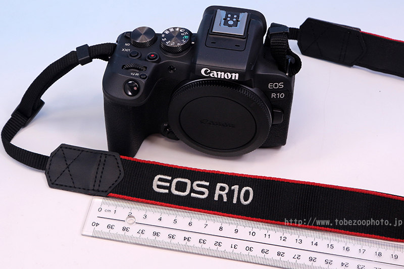 Canon EOS R10 のカメラレビューと、とべ動物園で実際に撮影した写真作例付き実写レビュー紹介