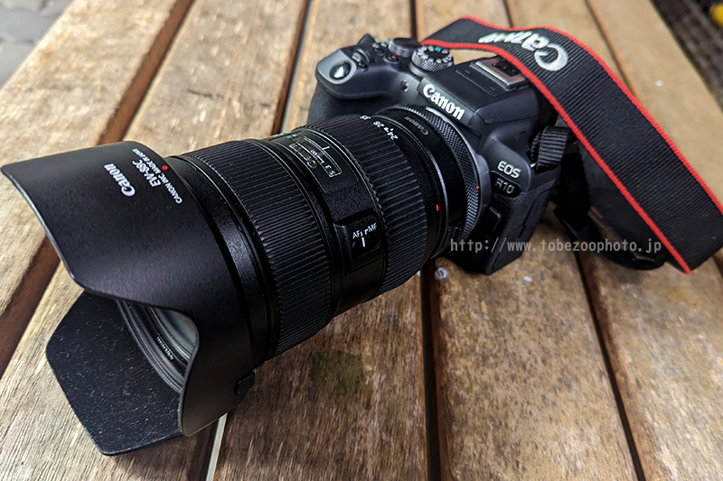 Canon EOS R10 のカメラレビューと、とべ動物園で実際に撮影した写真作例付き実写レビュー紹介