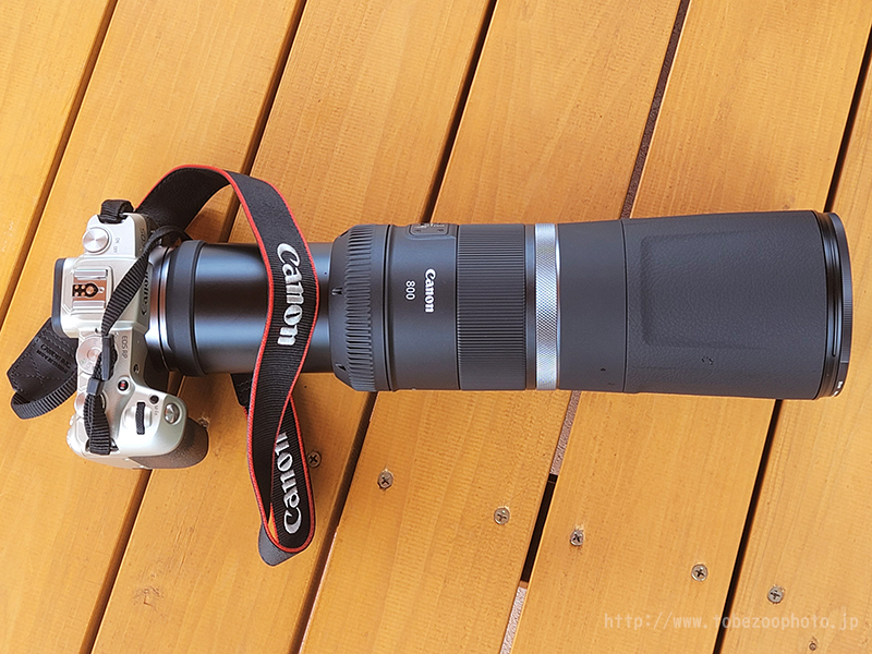 Canon RF800mm F11 IS STM フルセット