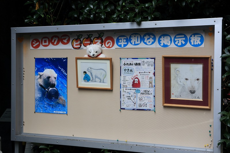 シロクマピースの平和な掲示板、左側から