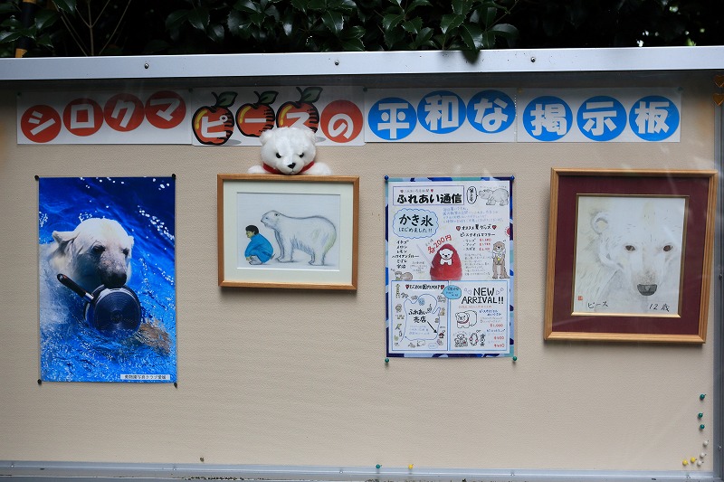 シロクマピースの平和な掲示板、正面から