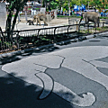 第2回とべ動物園写真コンテスト　ゾウの広場で賞「ゾウさん・ロード」