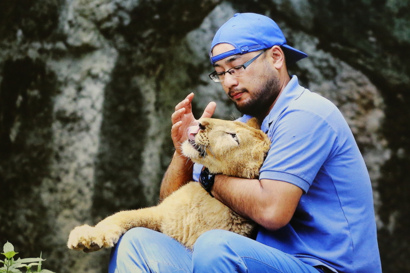 第4回とべ動物園写真コンテスト 入選（第3位）受賞作品「スキンシップ」です。 ライオン＠愛媛県立とべ動物園にて撮影 とべ動物園 動物園写真