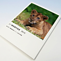 第4回とべ動物園写真コンテスト　記念写真集フォトブック（表紙）