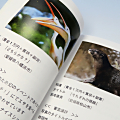 第4回とべ動物園写真コンテスト　記念写真集フォトブック（特選紹介ページ）