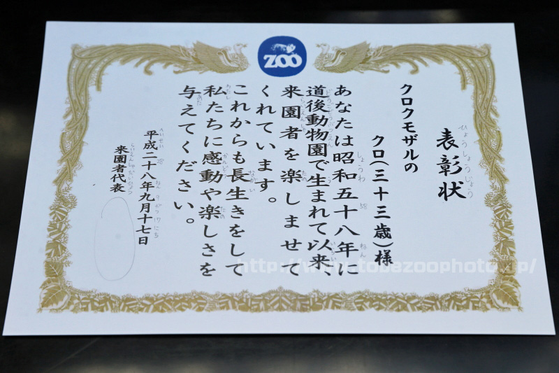 クロクモザルのクロちゃんへ表彰状！　（とべ動物園・敬老イベント）