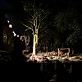 夜のライオン舎です。 （使用カメラ： Canon 1DX ・ ISO感度12800で撮影）