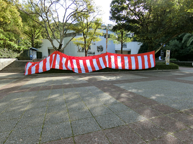 餅まき会場の様子１ （とべ動物園の日 2016年）
