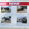 oN̏Љ@ZOO NEWS@̎ʁ@ē