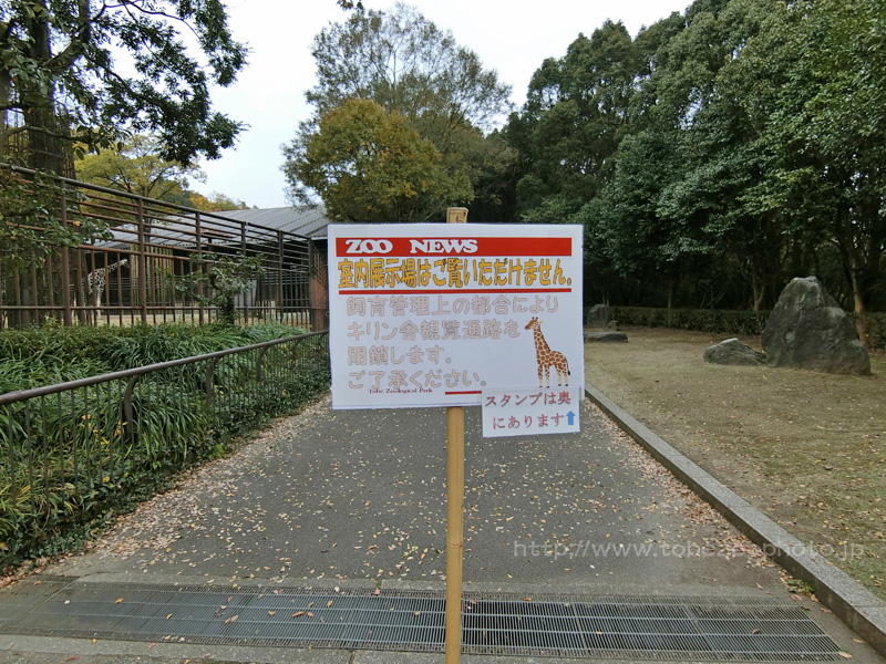キリンの杏子ちゃん来園、観覧通路を閉鎖中のキリン舎近くの立て看板