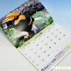 とべ動物園オリジナルカレンダー2017の1月見開き・オオサイチョウ