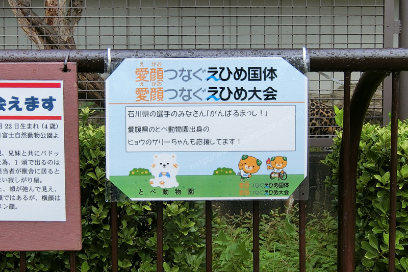えひめ国体 とべ動物園 メッセージボード 石川県の選手のみなさん　愛媛県 とべ動物園出身 ヒョウのサリーちゃんが応援