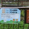 えひめ国体 とべ動物園 メッセージボード 静岡県の選手のみなさん　日本平動物園出身 ピューマのマリーちゃんが応援