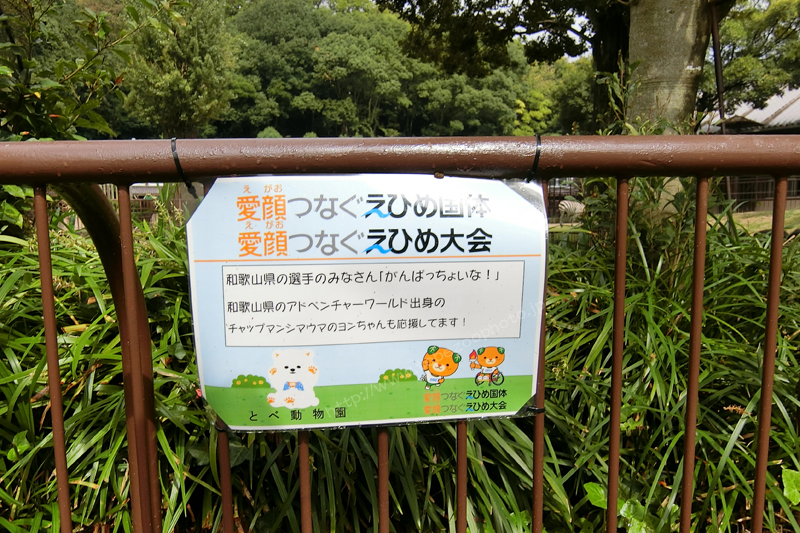 えひめ国体 とべ動物園 メッセージボード 和歌山県の選手のみなさん　アドベンチャーワールド出身 チャップマンシマウマのヨンちゃんが応援