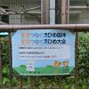 えひめ国体 とべ動物園 メッセージボード 徳島県の選手のみなさん　徳島動物園出身 ワオキツネザルのチコちゃんが応援