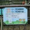 えひめ国体 とべ動物園 メッセージボード 高知県の選手のみなさん　のいち動物公園出身 マレーグマのシャインくんが応援