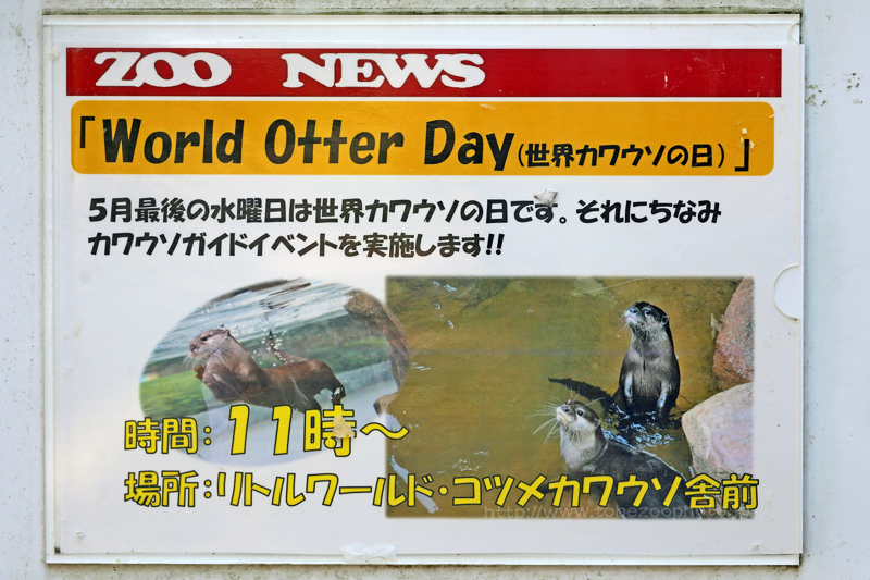World Otter DayCxgAEJE\̓ɍ킹āAƂדŃCxgłB