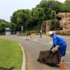 愛媛県立とべ動物園 ・ 動物脱出対策訓練の写真１